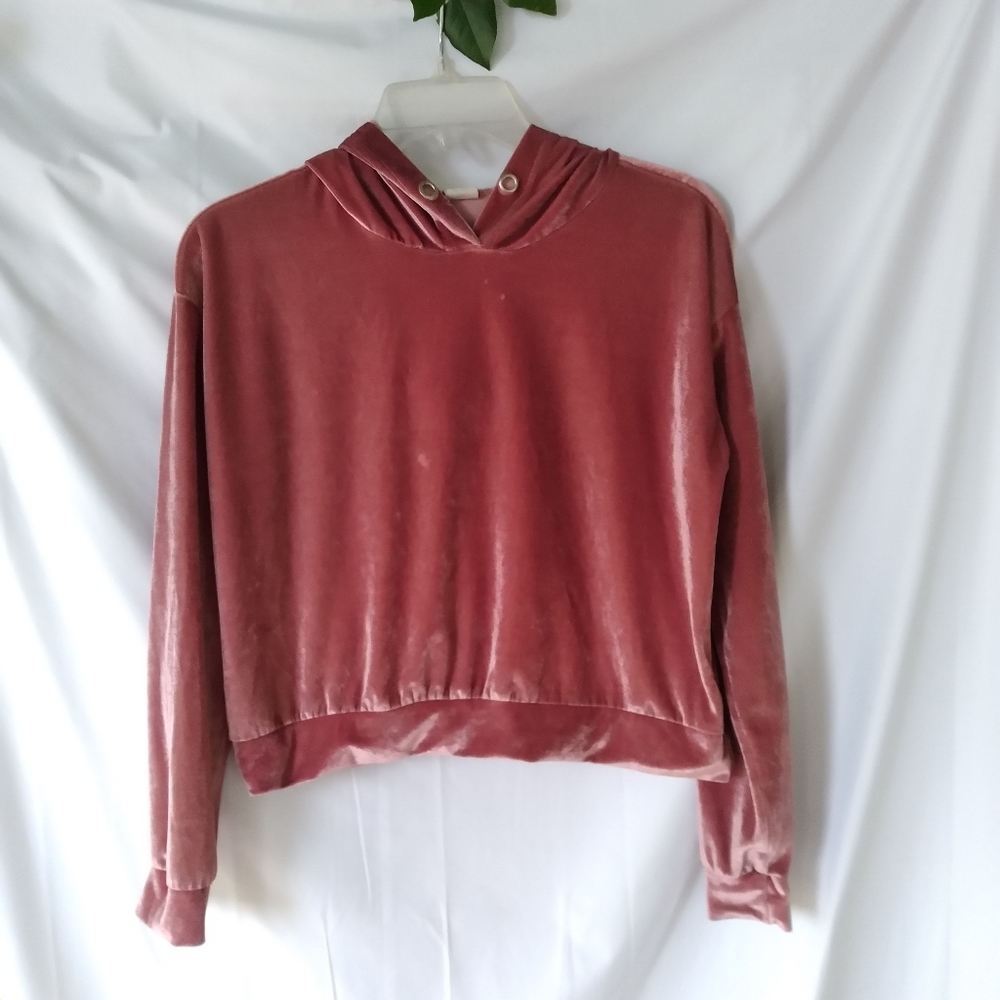 Darling Blue Goodies Womens Size M Rose Velour Cropped Y2k